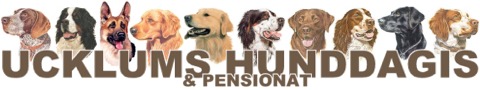 Vlkommen till UHHC Hunddagis & Pensionat